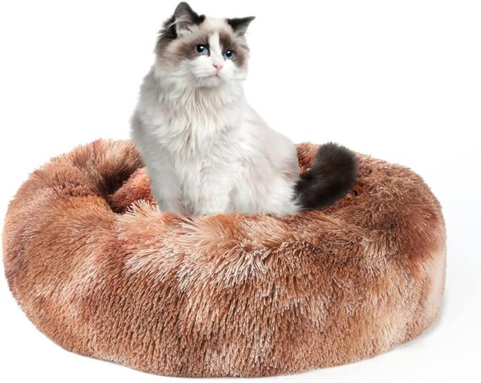 sherpa fleece dog blanket